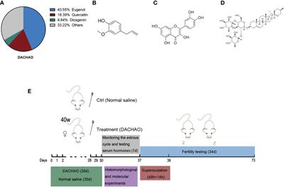 A combination containing natural extracts of clove, Sophora flower bud, and yam improves fertility in aged female mice via multiple mechanisms